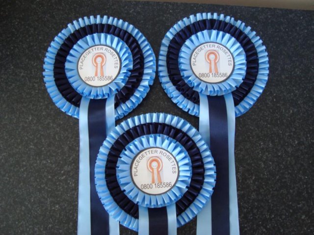 Triple Rosette, 3 tails, 2 colours